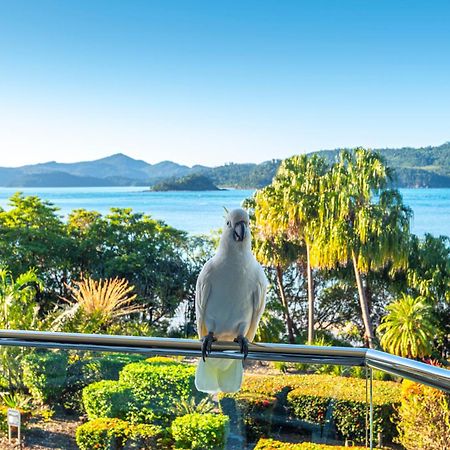 Lagoon Apartments On Hamilton Island By Hiha Eksteriør billede