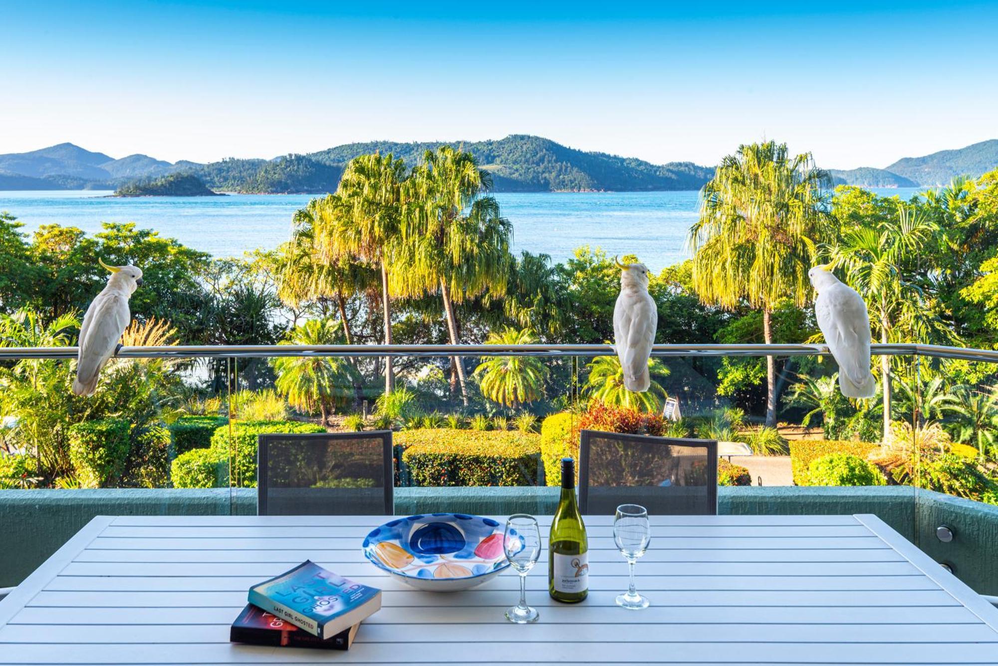 Lagoon Apartments On Hamilton Island By Hiha Eksteriør billede